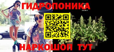каннабис Можга