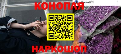 каннабис Можга