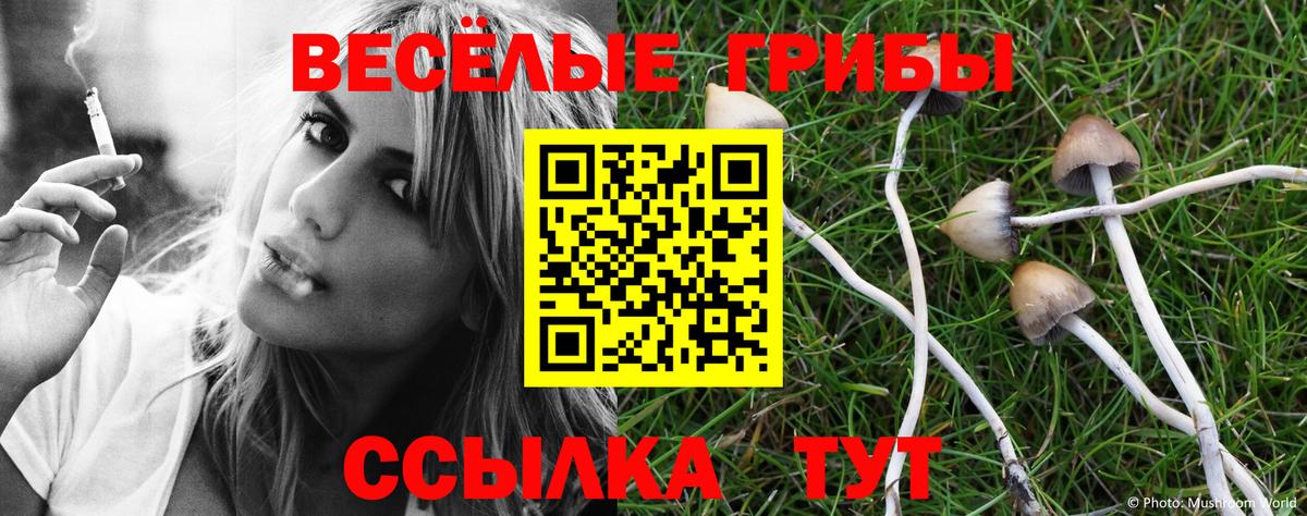 Галлюциногенные грибы Cubensis Учалы