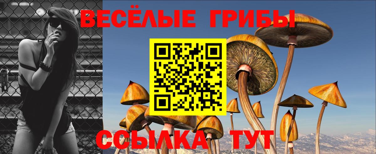 хочу   Вход с VPN  Учалы  Галлюциногенные грибы GOLDEN TEACHER 
